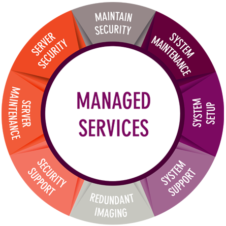 managed services pie chart web
