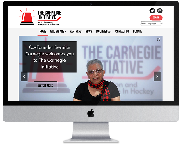 The Carnegie Initiative portfolio screen