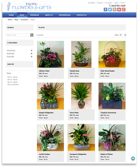 exotic flowers website screen shot without guides